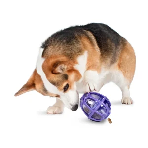 PetSafe® Busy Buddy® Kibble Nibble Dog Toy