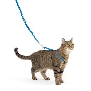 PetSafe® Come With Me Kitty, Cat Harness, and Cat Bungee Leash, Multiple Sizes & Colors