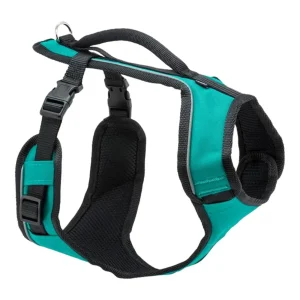 PetSafe Dog Easy Sport Dog Harness Teal Medium