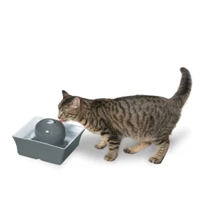 PetSafe® Drinkwell Seascape Ceramic Pet Water Fountain - Filters Included - 70 Ounce (2 Liter)