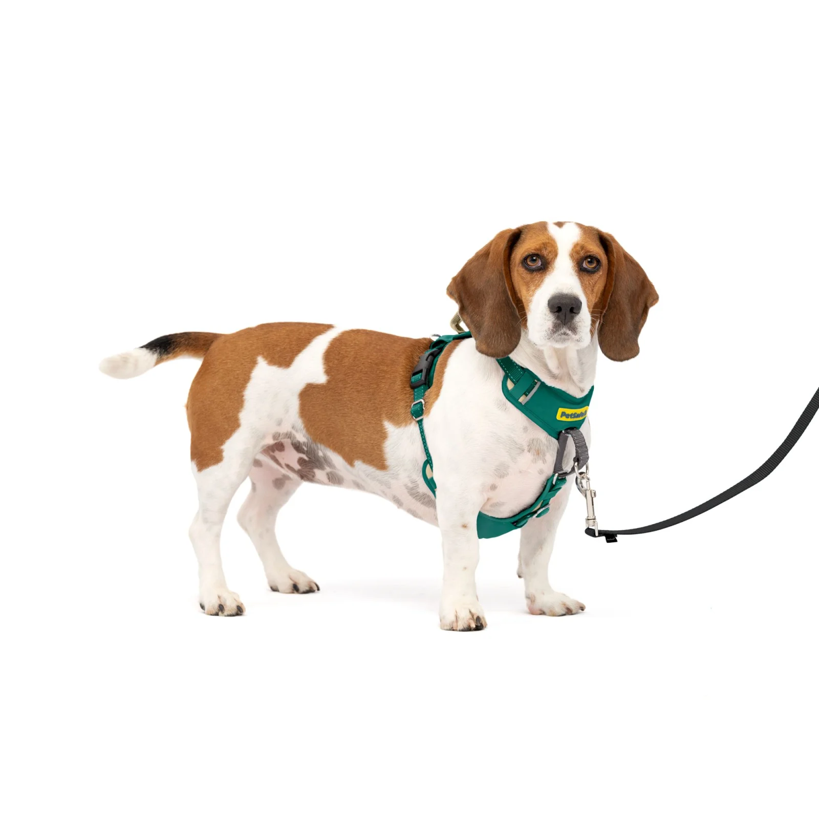 PetSafe® Easy Walk Dog Harness, Comfort Harness, No Pull, Premium Foam, Multiple Sizes & Colors