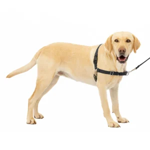 PetSafe® Easy Walk Dog Harness, No Pull Dog Harness, Adjustable Dog Harness, Black, Multiple Sizes