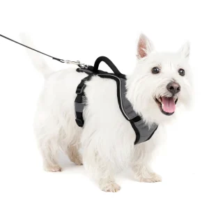 PetSafe® EasySport Nylon Reflective Dog Harness