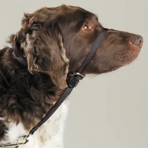 PetSafe Gentle Leader Head Collars