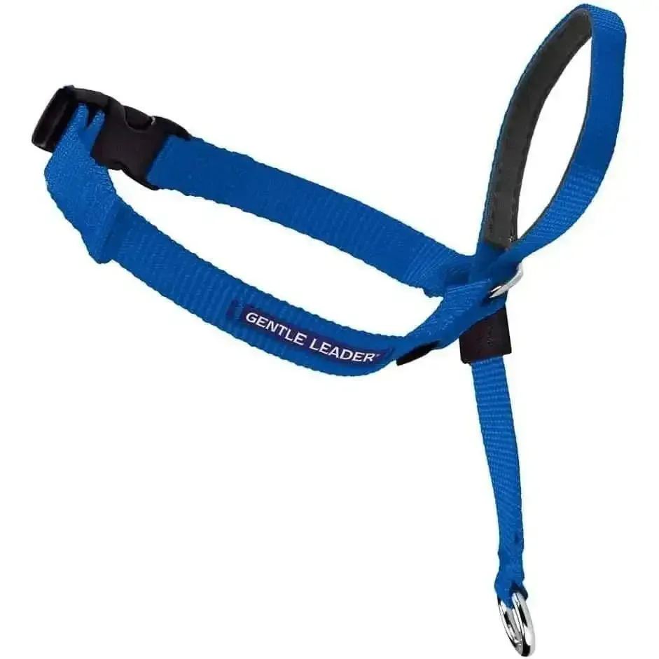 PetSafe Headcollar No-Pull Dog Collar