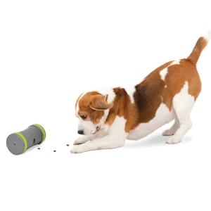 PetSafe® Kibble Chase Dropper Dog Toy