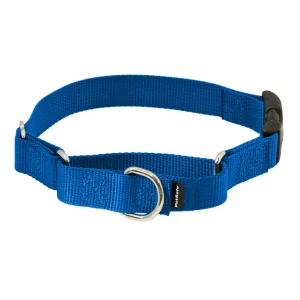 PetSafe® Martingale 1" Collar with Quick Snap Buckle