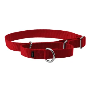 PetSafe® Martingale 1" Nylon Dog Collar