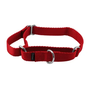 PetSafe® Martingale 3/4" Nylon Dog Collar