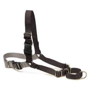 Petsafe Medium Black Easy Walk Harnesses