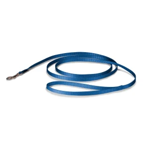 PetSafe® Nylon Dog Leash, 6 Ft