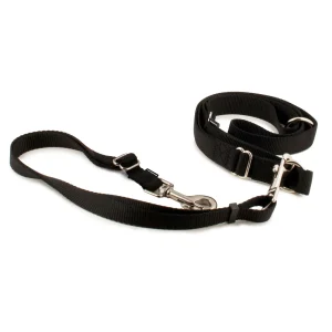 PetSafe® Nylon Hands-Free Dog Leash