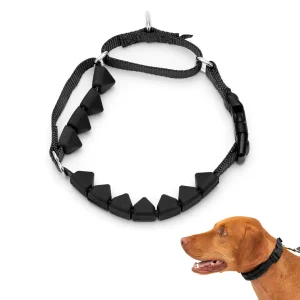 PetSafe® Soft Point No-Pull Training Collar with Rubber Soft Points, Royal Blue & Black Options