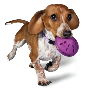 PetSafe® Twist N Treat Dog Toy