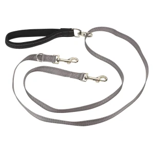 PetSafe® Two Point Dog Leash, Walking Dog Leash, Hands Free Dog Leash, Adjustable Lengths