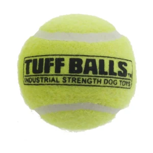 Petsport Tuff Balls Bulk 4in