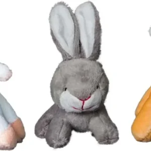 Petsport USA Tiny Tots-Barn Buddies Dog Toy Assorted 1ea