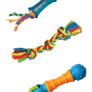 Petstages Dental Dog Chew Pack Assorted 1ea/SM