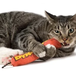 Petstages Green Magic Dynamite Catnip Toy Red 1ea/One Size