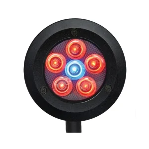 Pico Refugium LED - ReefBreeders