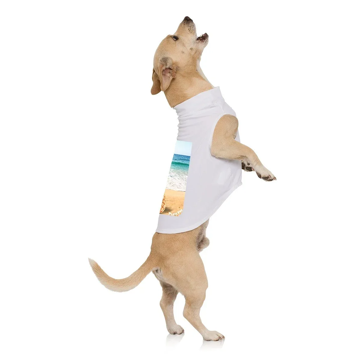 PLAYA PUP | Pineapple Tank Top