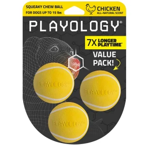 Playology Chicken Scented Squeaky Chew Ball Dog Toy, Small 3-Pack