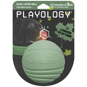 Playology Dog Toys, Dual Layer Bone Chew Toy for Large Dogs, Butternut Squash Scented Jumbo Bone