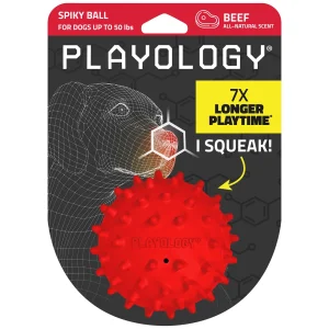 Playology Spiky Squeaky Beef Scent Ball Dog Toy