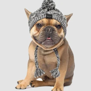 Polar Pom Pom Hat in Charcoal (FINAL SALE)
