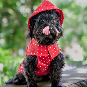 Polka Dot Anorak Dog Raincoat in Red <>
