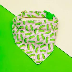 Pop Pickles Cat Collar + Bandana Set (Made in the USA)