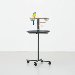 Portable Bird Play Stand, Parrot Perch Bird Feeder Station with Wheels, Stainless Steel Feeding Bowls, Tray,