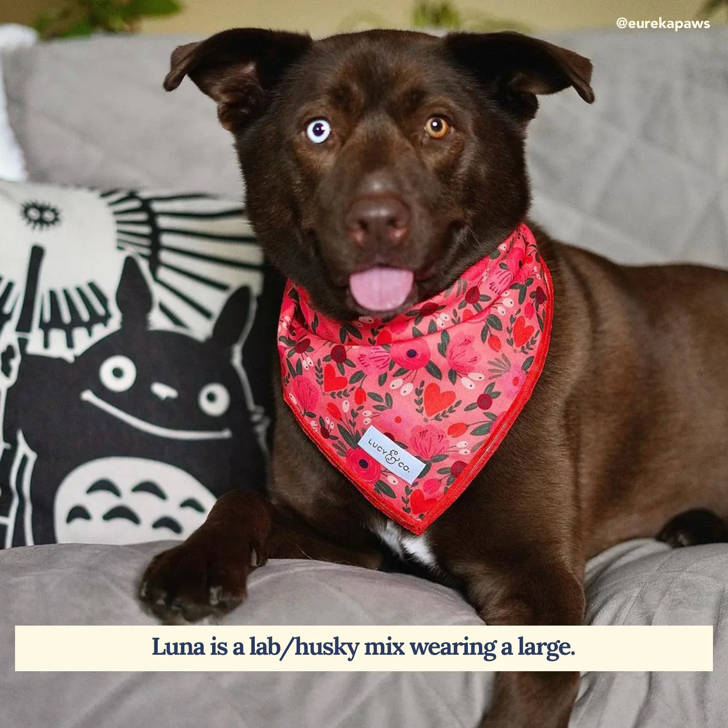 Posy Pink Bandana - Image 2