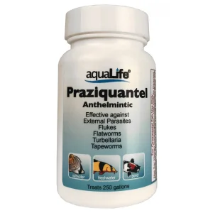 Praziquantel – Treats 250 Gallons