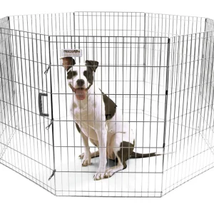 Precision Pet Products Exercise Pen Silver 1ea/36 in