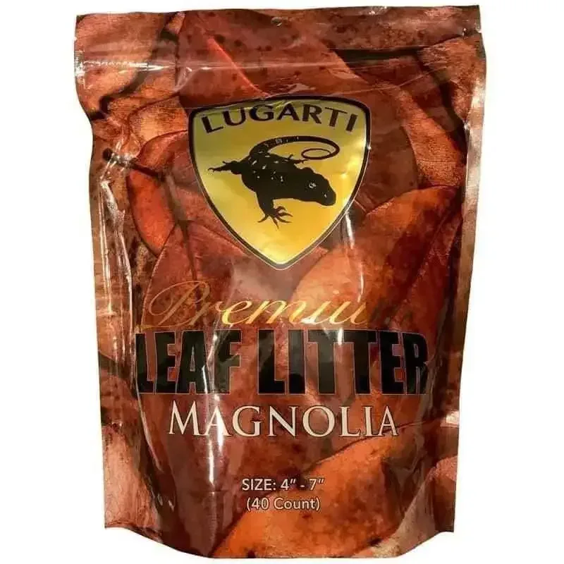 Premium Leaf litter Magnolia 30 Count