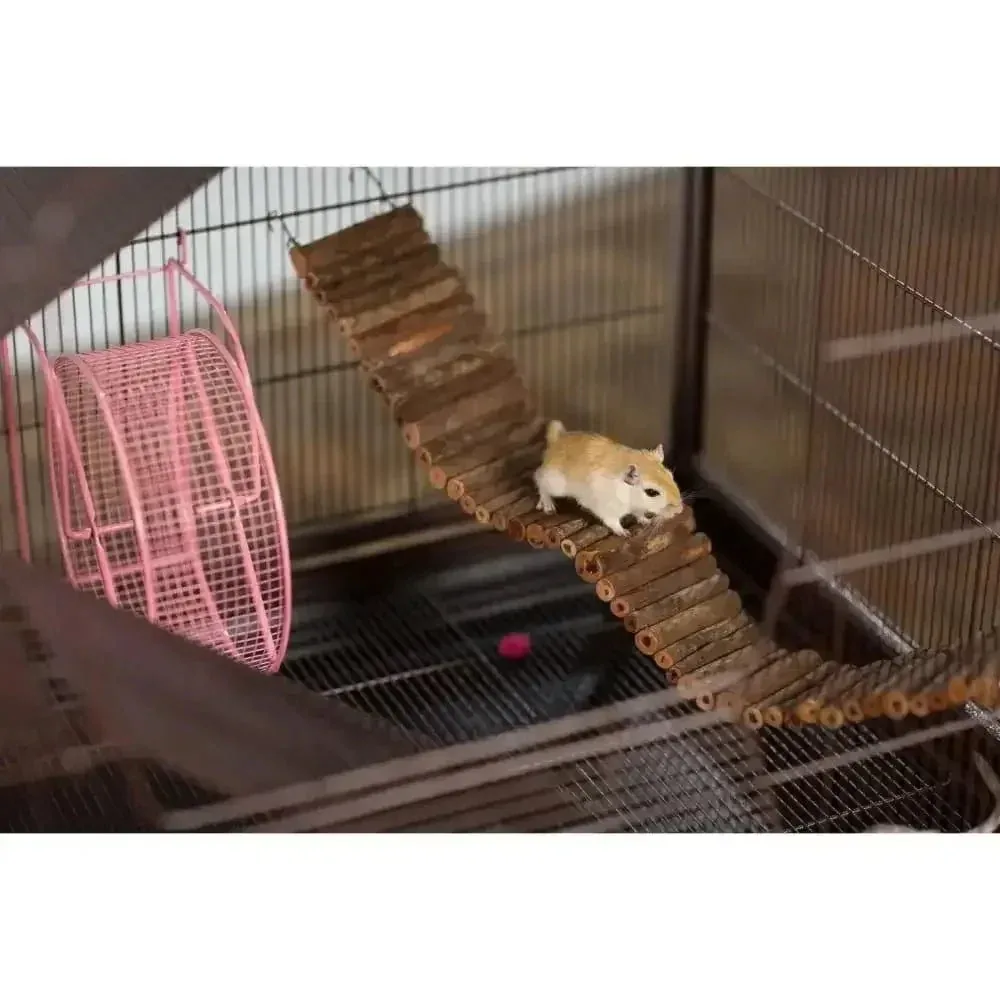 Prevue Pet Products Wonder Walk Bird Toy - The Ultimate Playground for Your Feathered Friends