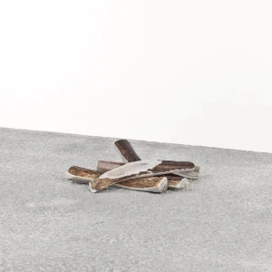 Primal Dog Stag Antler Medium
