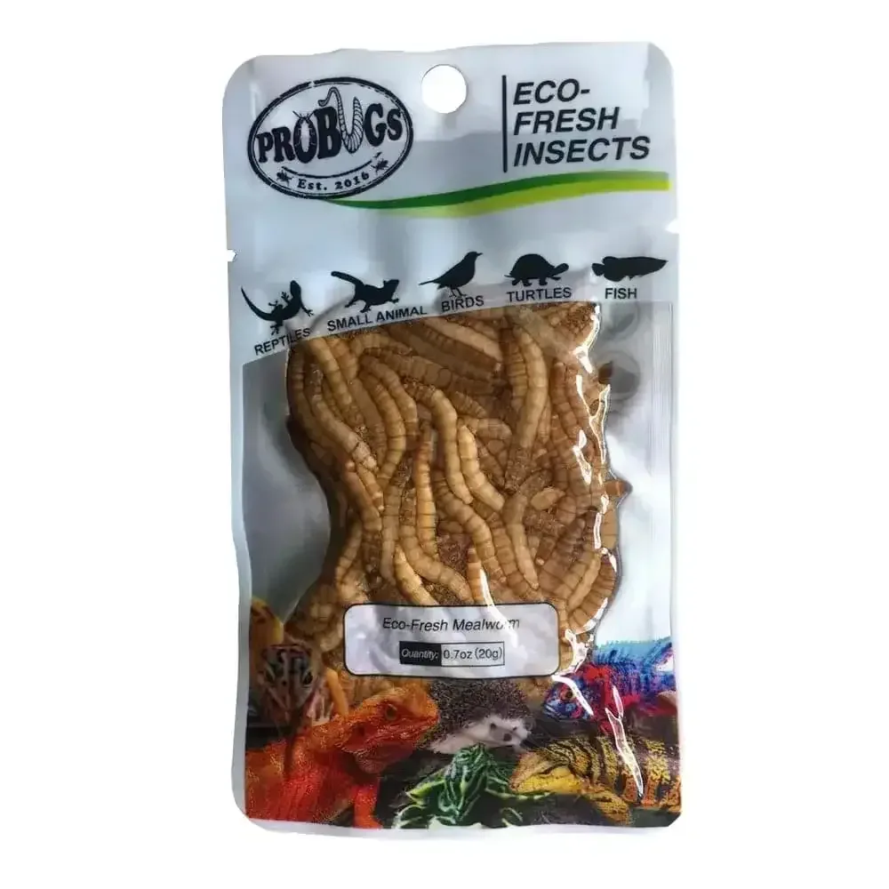 Pro Bugs Eco-Fresh Mealworm for Parrots, Cichlids, Frogs, Hedgehogs, Sugar Gliders Food