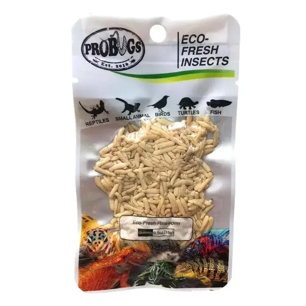 Pro Bugs Eco-Fresh Riceworm for Finches, Conures, Tropical Fish, Frogs food
