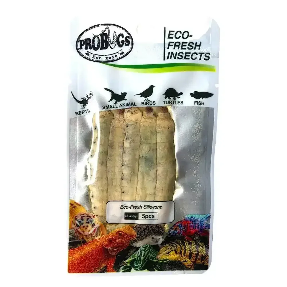 Pro Bugs Eco-Fresh Silkworm for Goldfish, Salamanders, Snakes, Sugar Gliders Food