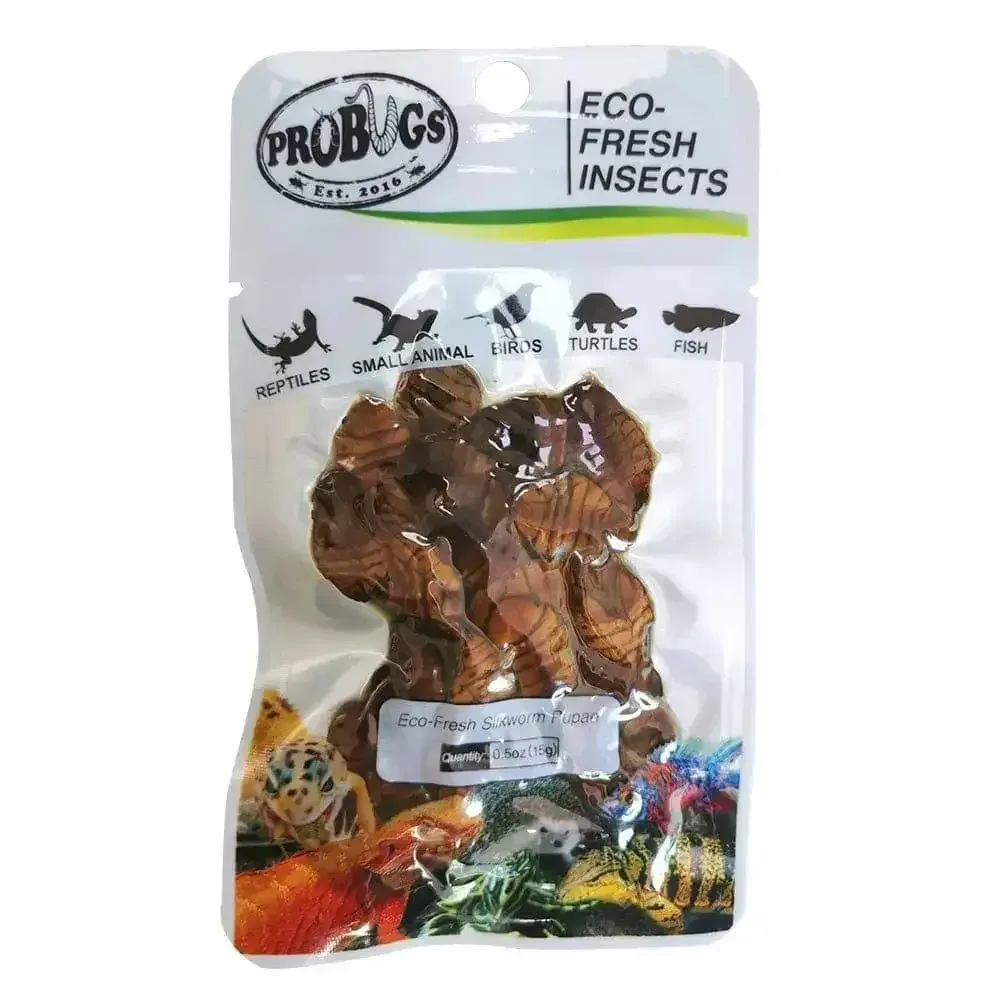 Pro Bugs Eco-Fresh Silkworm Pupae for Geckos, lizards, Birds, Koi Food