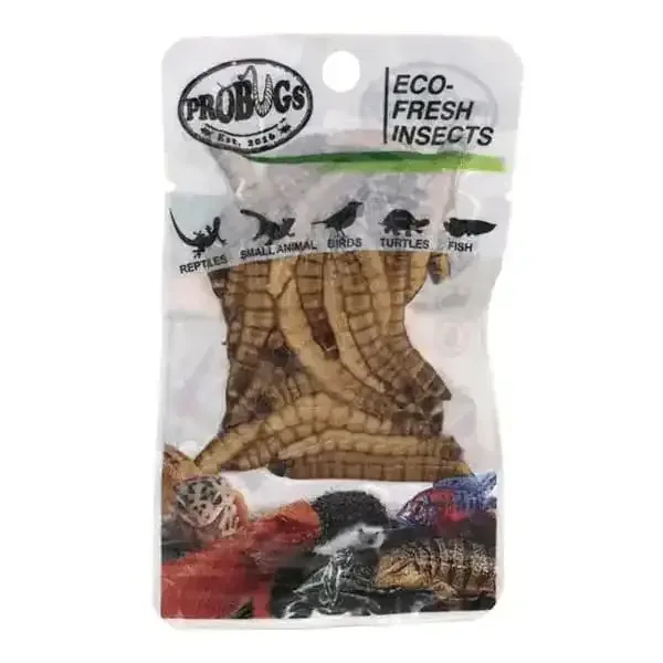 Pro Bugs Eco-Fresh Superworm for Lizards, Turtles, Birds, Koi food
