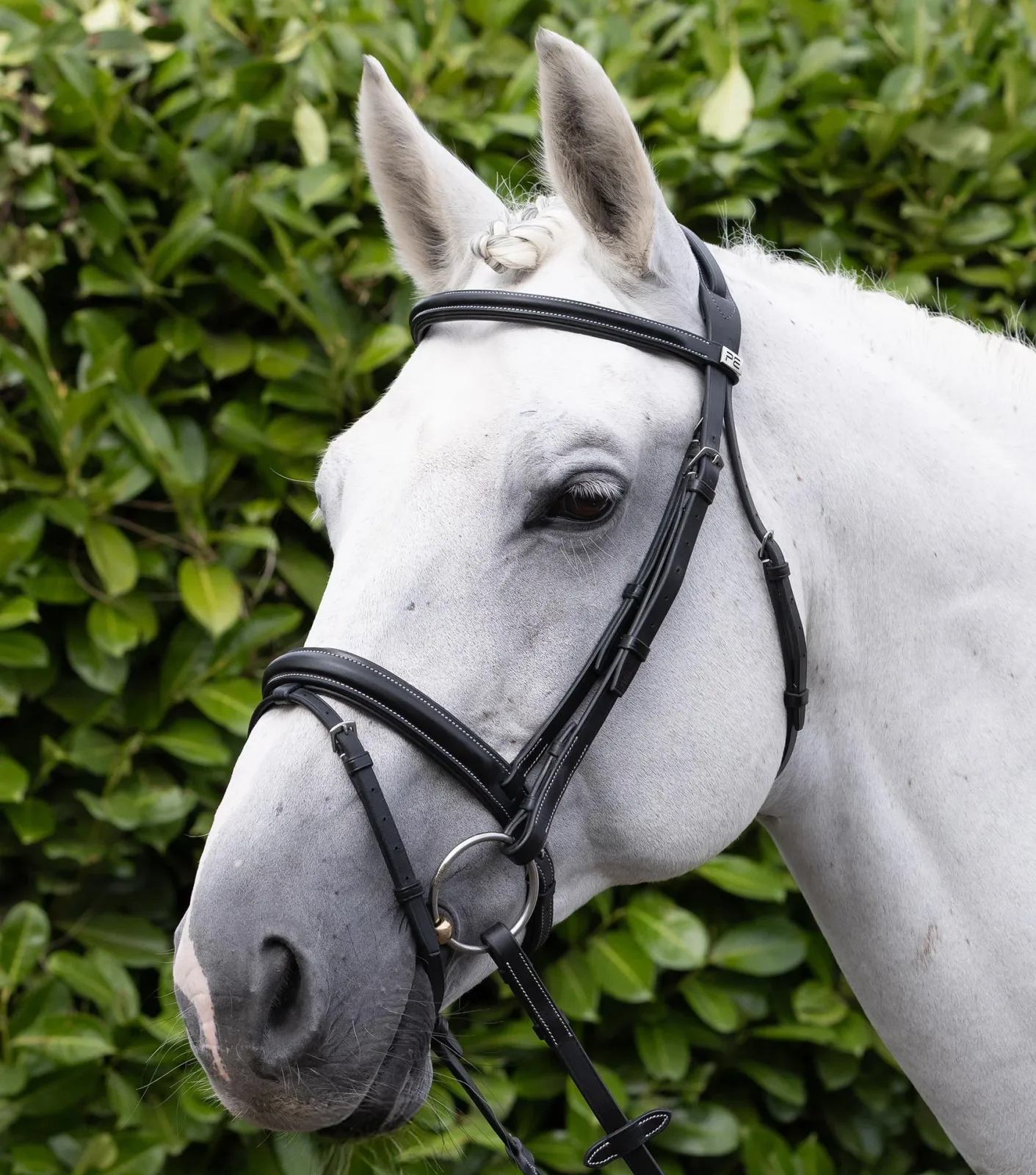 Pro Elevator Snaffle Bridle with Flash Black