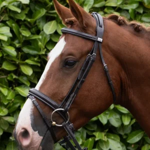 Pro Elevator Snaffle Bridle with Flash Dark Havana