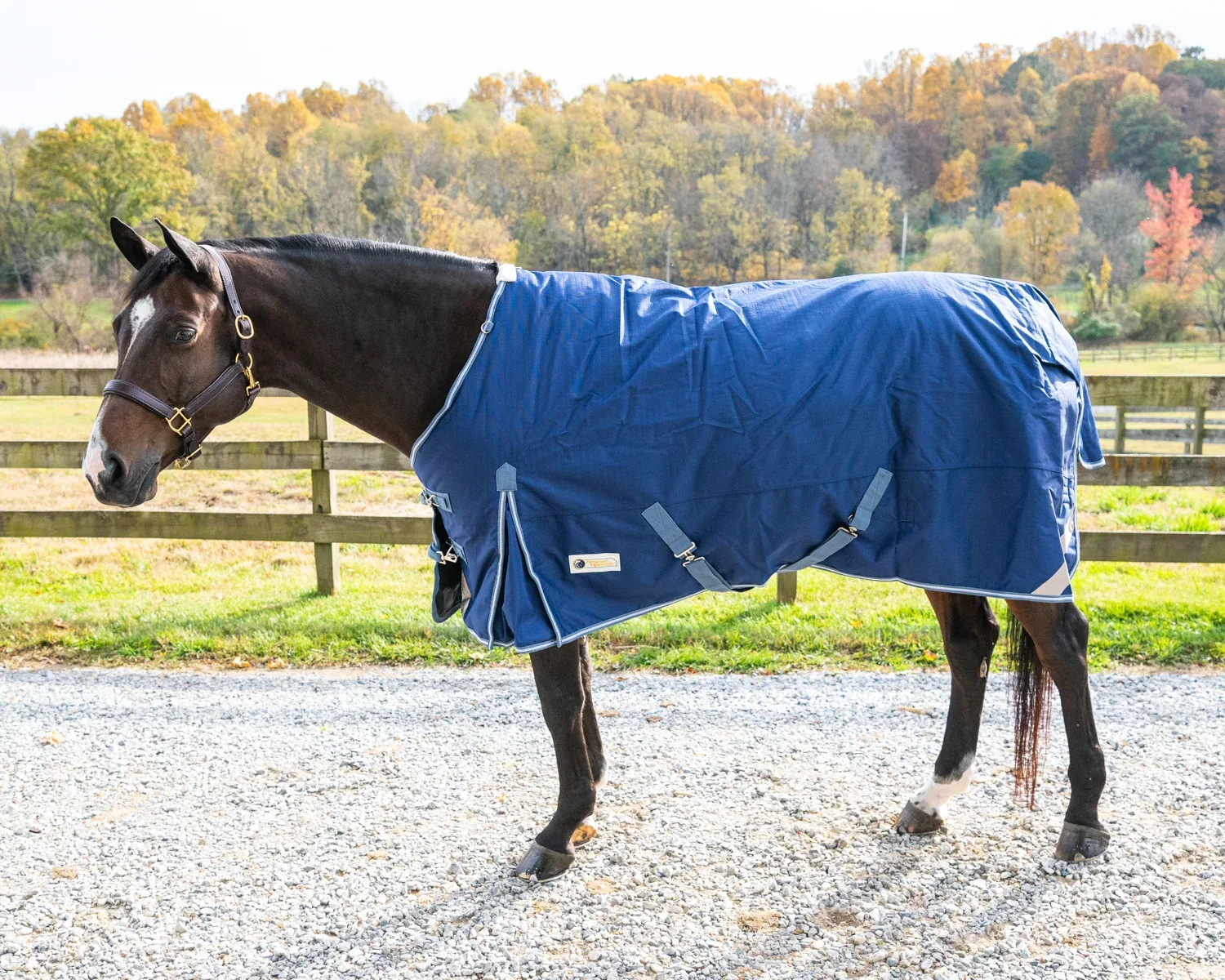 Pro-Trainer 1200D Heavyweight Turnout Blanket with Detachable Neck Cover - Image 2