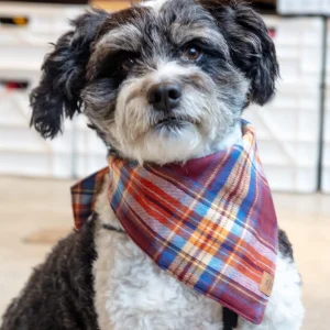 Marlow Plaid Flannel Dog Bandana