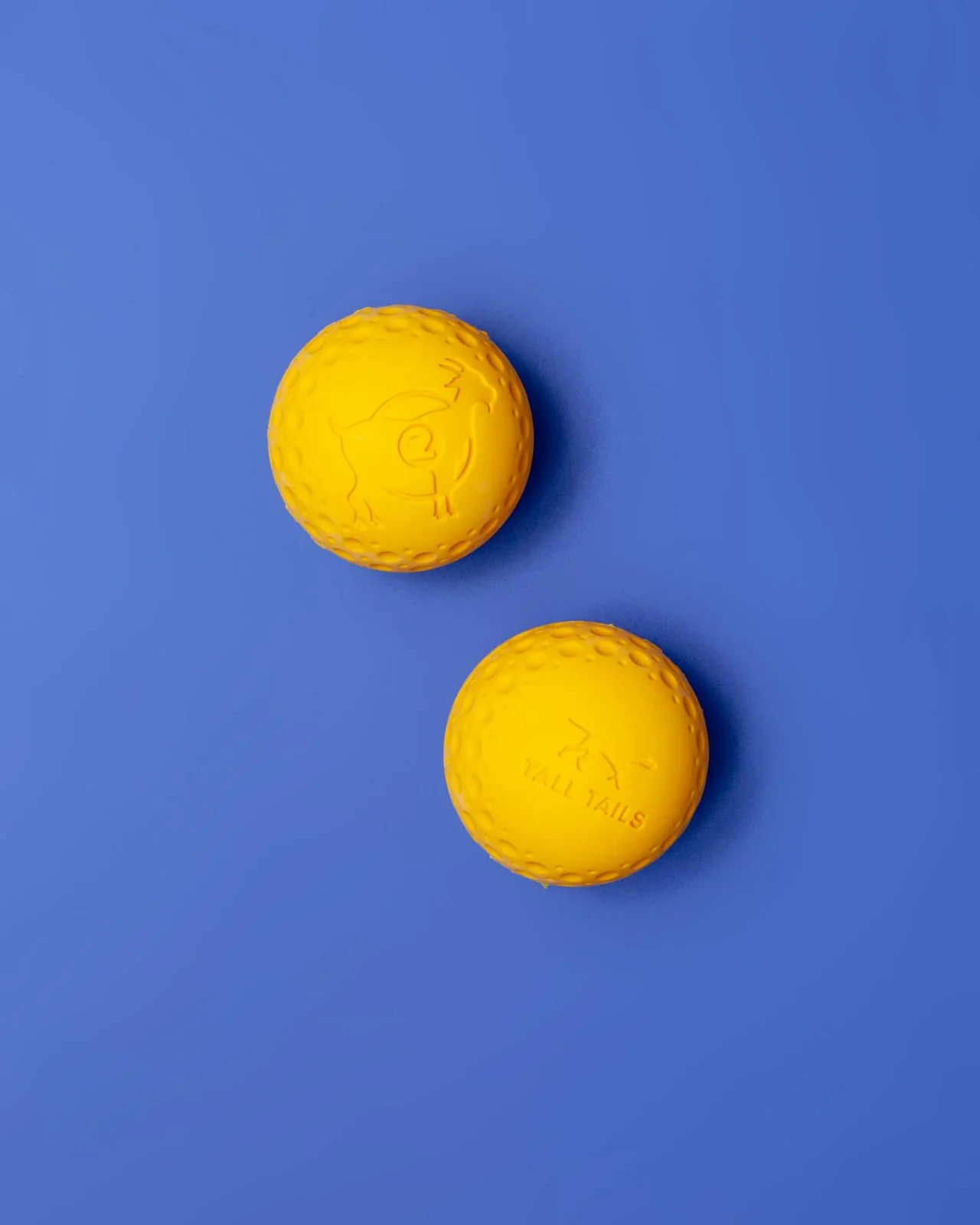 Rubber Floating Dog Ball Toy