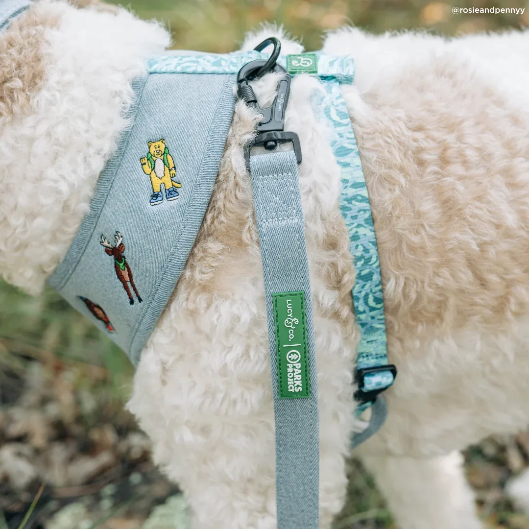 Lucy & Co. x Parks Project Adventures with Friends Leash - Image 2