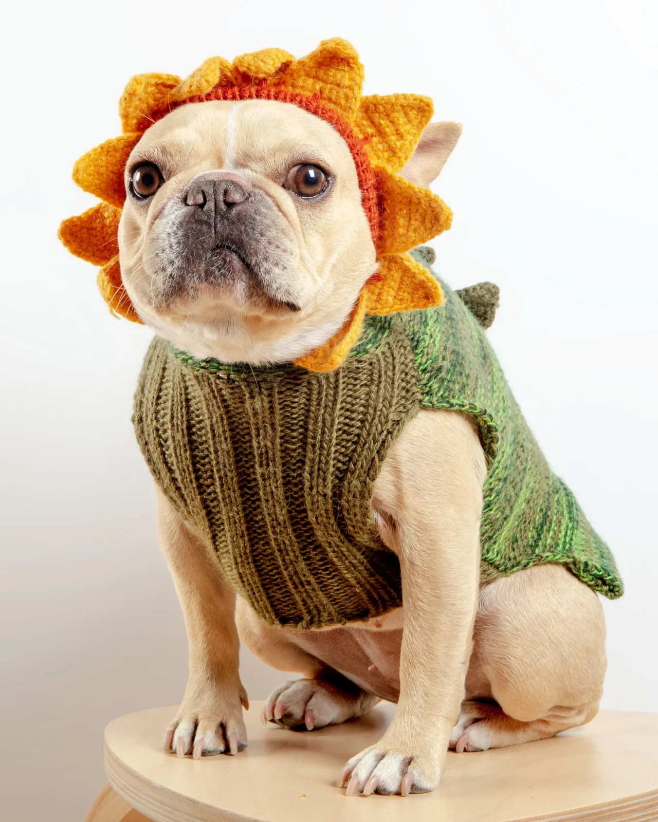 Sunflower Hand-Knit Dog Sweater (DOG & CO. Exclusive) (FINAL SALE)